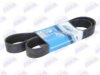 VOLVO 20712530 V-Ribbed Belts